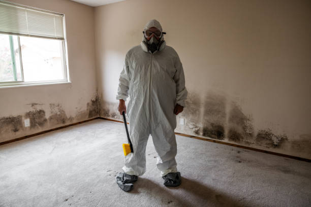 Best Fast Mold Removal  in Henryville, IN